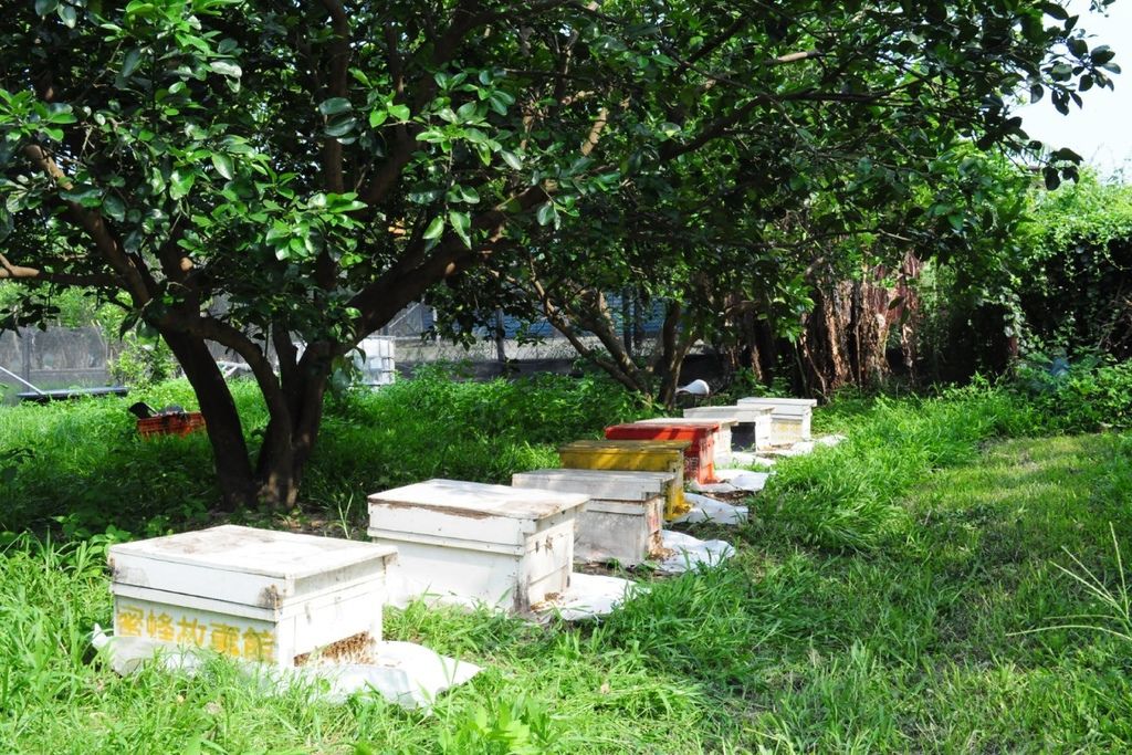 2016-05-25_164732.jpg 2016-05-25_164732.jpg