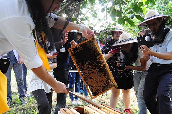 DSC_0129.JPG DSC_0129.JPG