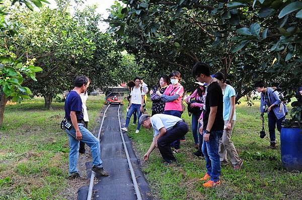 DSC_0232.JPG DSC_0232.JPG