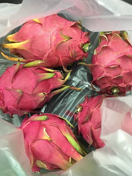 S__8773635.jpg S__8773635.jpg