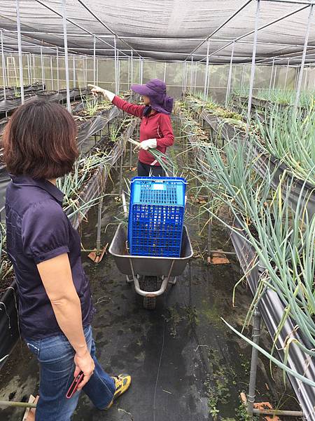 S__7430170.jpg 專業的養蜂人_張小姐