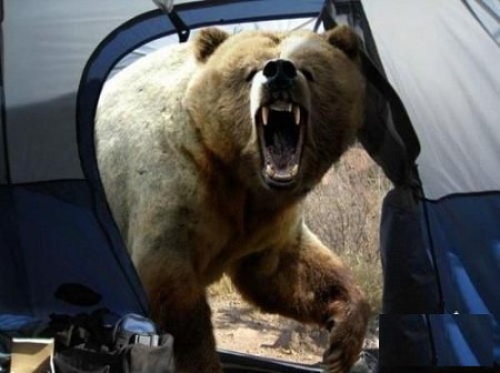 907022126181002--ss.jpg 907022126181002--ss.jpg
