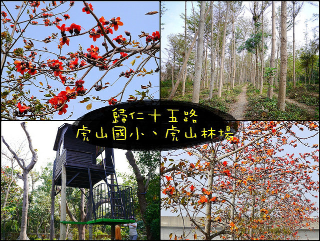 台南景點 歸仁十五路木棉大道 虎山國小 虎山實驗小學 虎山林場 虎山森林步道 台南一日遊 兩日遊推薦景點 Lion Fun 痞客邦
