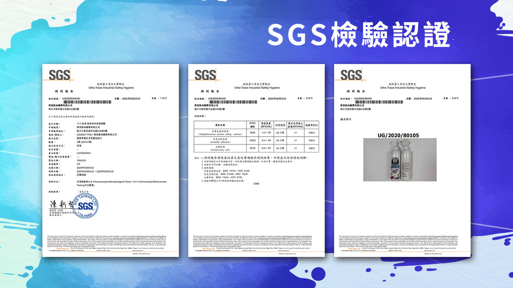 SGS-2.jpg