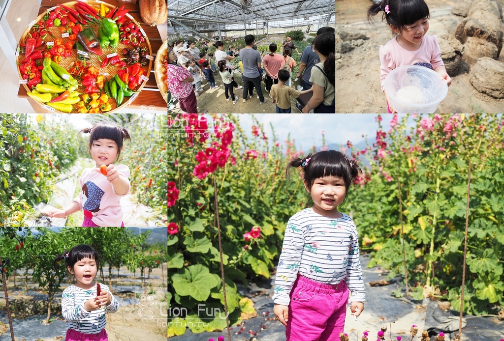 屏東枋寮景點｜蘭欣辣汗花果休閒農場田媽媽天之椒子景觀餐廳。親