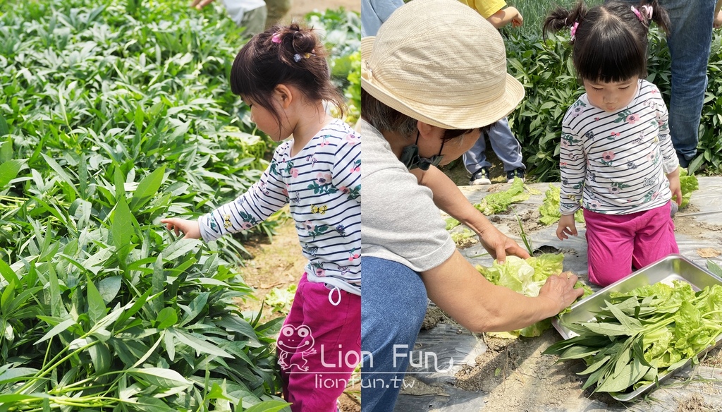 屏東枋寮景點｜蘭欣辣汗花果休閒農場田媽媽天之椒子景觀餐廳。親