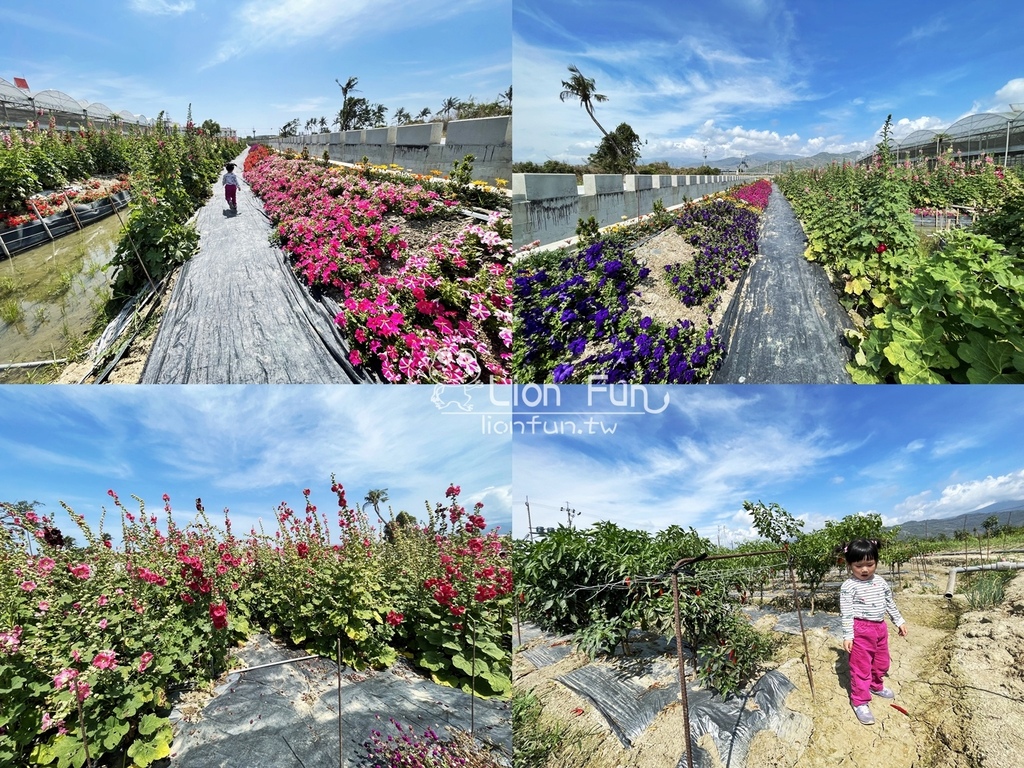 屏東枋寮景點｜蘭欣辣汗花果休閒農場田媽媽天之椒子景觀餐廳。親