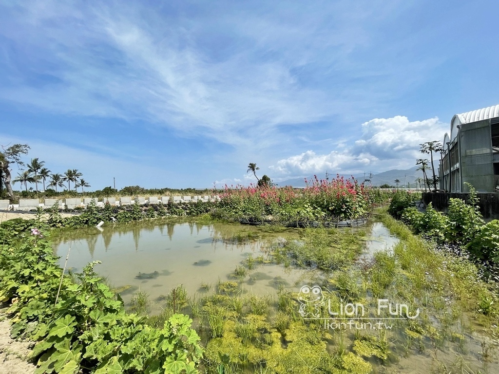 屏東枋寮景點｜蘭欣辣汗花果休閒農場田媽媽天之椒子景觀餐廳。親