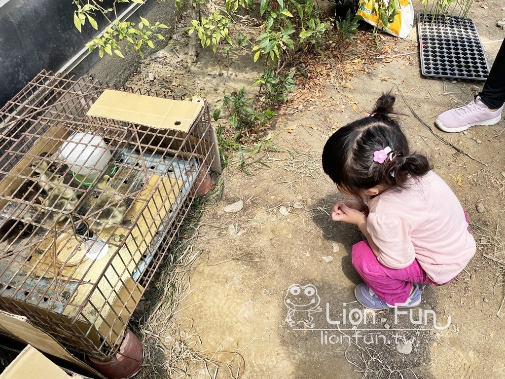 屏東枋寮景點｜蘭欣辣汗花果休閒農場田媽媽天之椒子景觀餐廳。親