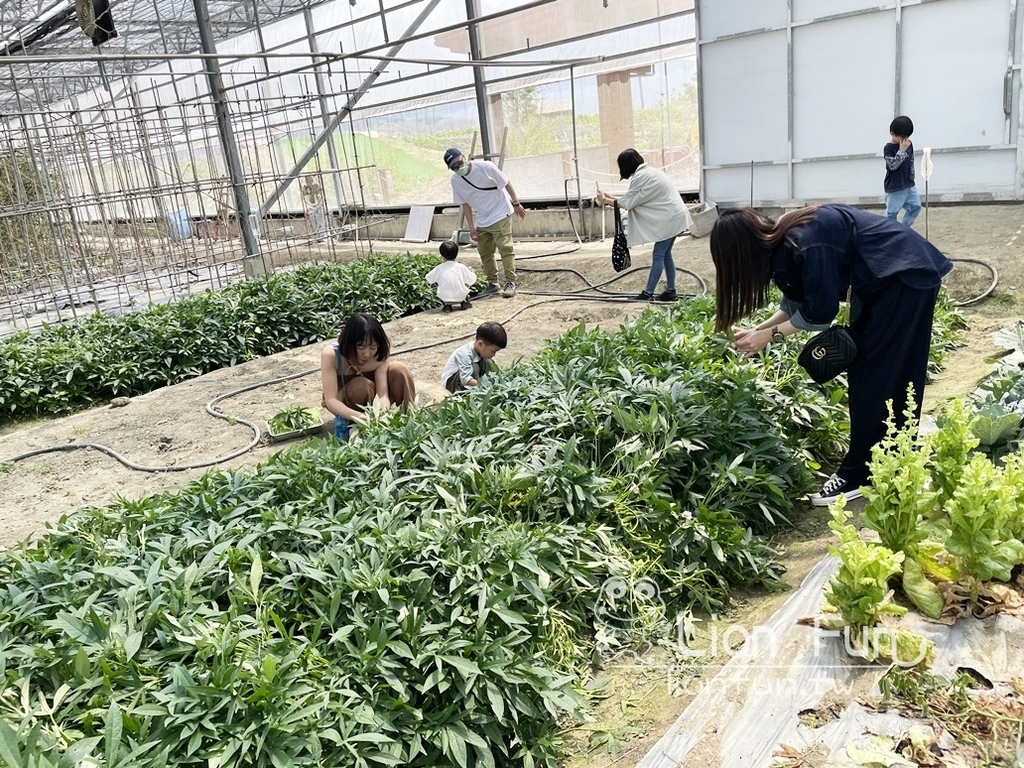 屏東枋寮景點｜蘭欣辣汗花果休閒農場田媽媽天之椒子景觀餐廳。親