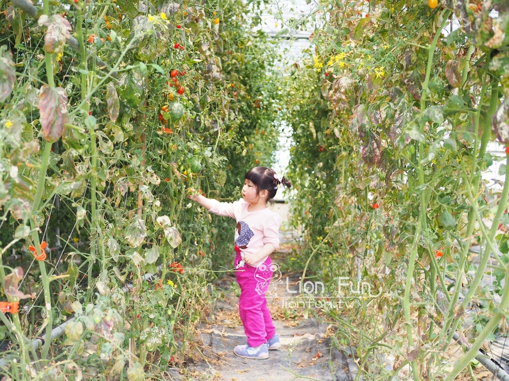 屏東枋寮景點｜蘭欣辣汗花果休閒農場田媽媽天之椒子景觀餐廳。親