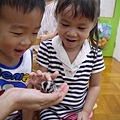 P1220489.JPG
