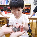 P1220502.JPG