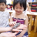 P1220508.JPG