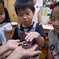 P1220519.JPG