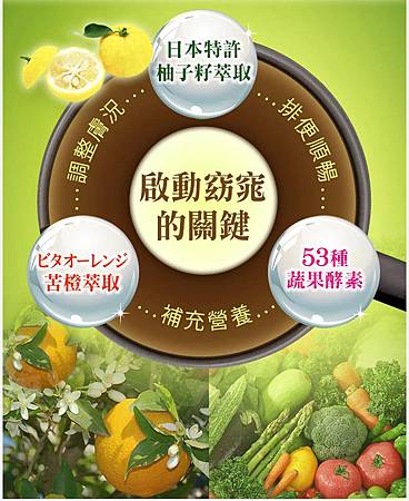 EDM11.jpg 試用