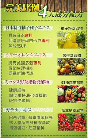 EDM15.jpg 試用