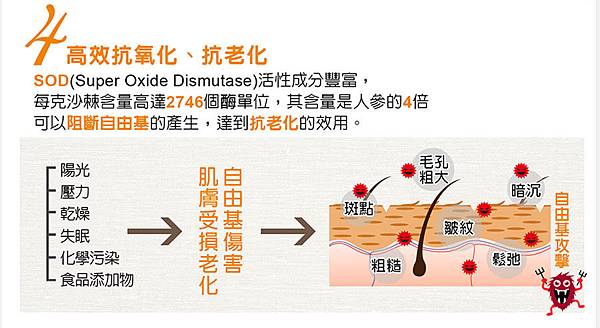 EDM05.jpg 試用