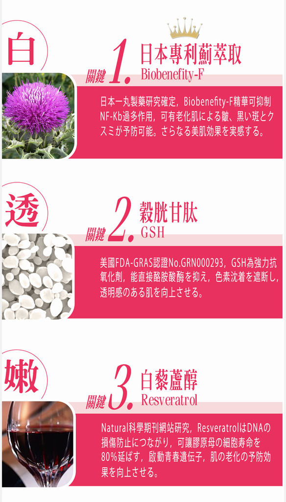 EDM11.jpg 試用
