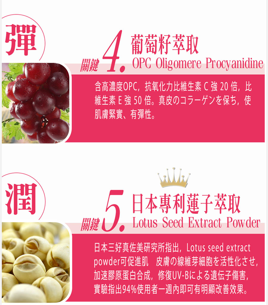EDM12.jpg 試用