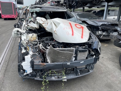 2022 KIA 起亞 SPORTAGE 白色 1.6 5D