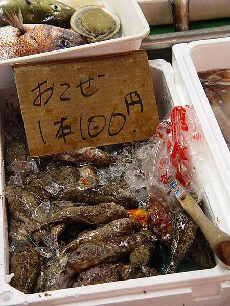 虎魚（stingfish?）