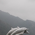 迷霧中的海豚