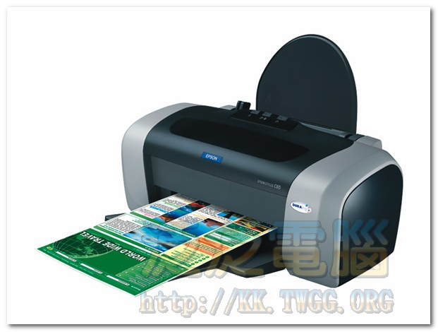 EPSON STYLUS C65