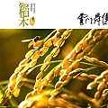 rice12