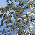 DSCN5106.JPG