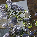 DSCN5104.JPG