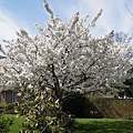 DSCN5033.JPG
