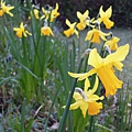 DSCN4704.JPG