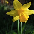 DSCN4738.JPG