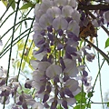 DSCN5439.JPG