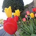 DSCN8177.JPG