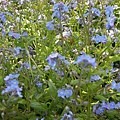 DSCN8234.JPG