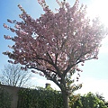 DSCN8052.JPG
