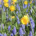 DSCN8041.JPG