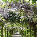 DSCN5434
