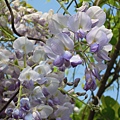 DSCN5438