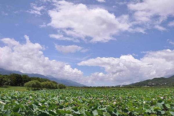 池上飯包13