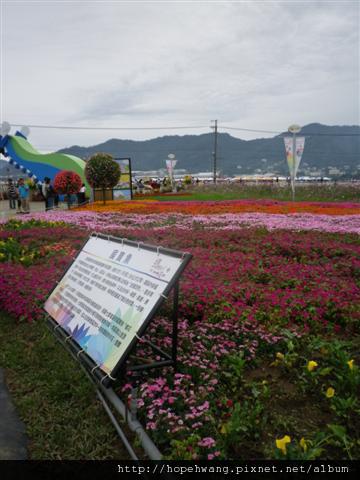 IMGP0873 (小型).JPG