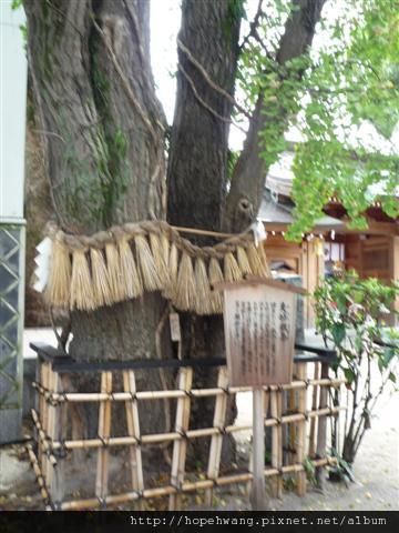 08092901櫛田神社 (7) (小型)