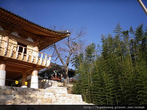 12120105金井山梵魚寺 (9) (小型)