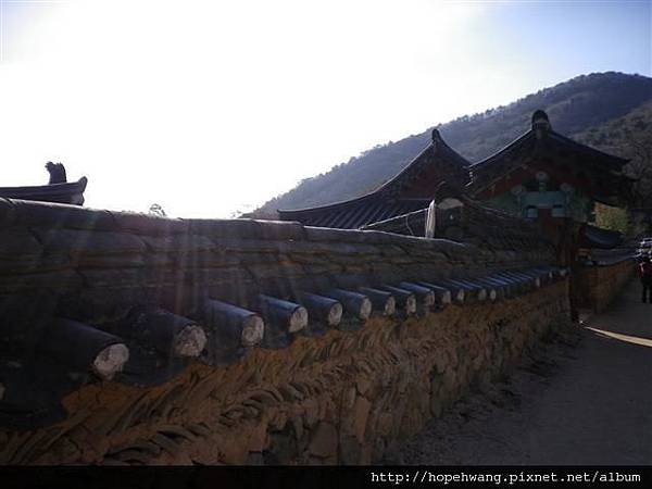 12120109金井山梵魚寺 (9) (小型)