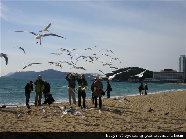 12120308海雲台 (4) (小型)