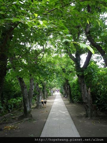 13052707極樂寺 (7) (小型).JPG