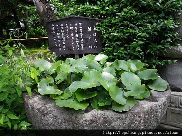 13052708極樂寺 (9) (小型).JPG