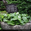 13052708極樂寺 (9) (小型).JPG